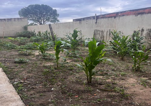 Lote Padrão - 150 m2